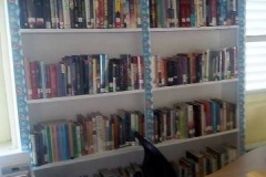 Adult-books